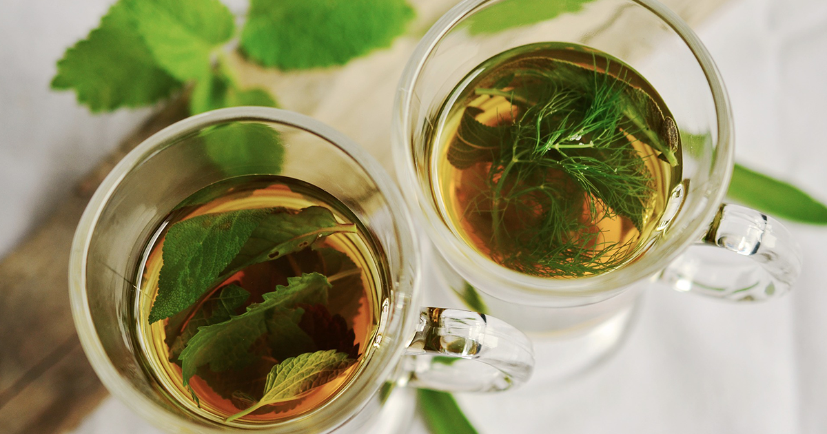 Quelle est la différence entre thé et tisane ?