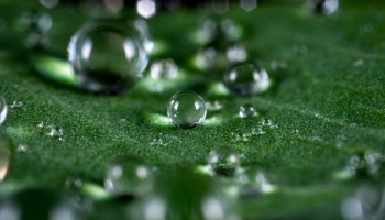 Quelles sont les spécifités d'une eau micellaire ?